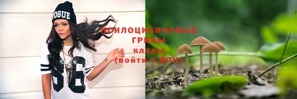 трава Алзамай